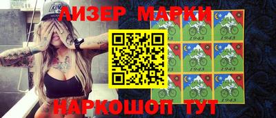 шишки Новодвинск