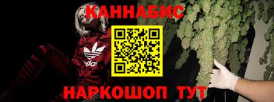 гашик Новокубанск
