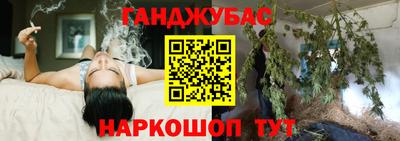 шишки Новодвинск
