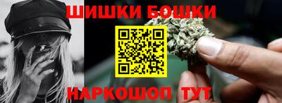 шишки Новодвинск