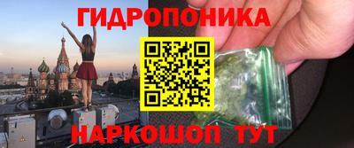 гашик Новокубанск
