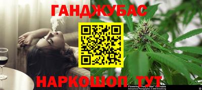 гашик Новокубанск