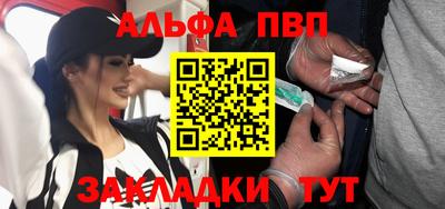 шишки Новодвинск