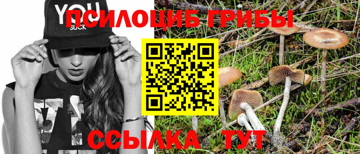 купить наркотик  Псилоцибиновые грибы ЛСД  Вход с VPN  Галлюциногенные грибы мухоморы  Орехово-Зуево 