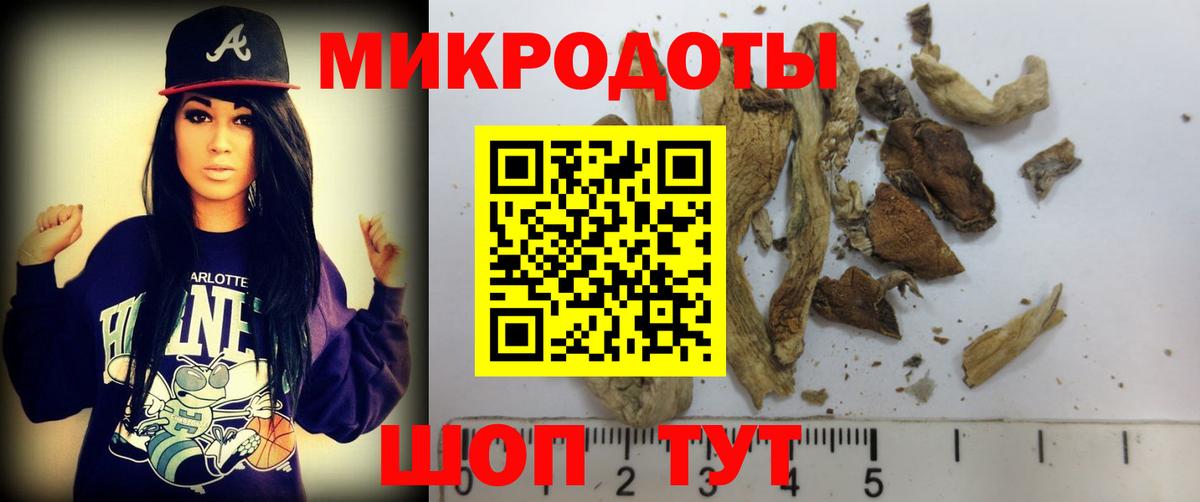 Псилоцибиновые грибы прущие грибы Орехово-Зуево